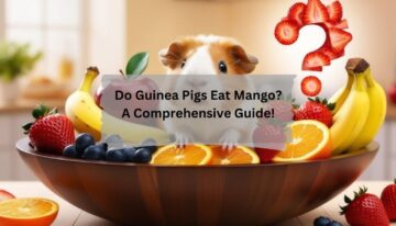 Do Guinea Pigs Eat Mango A Comprehensive Guide!